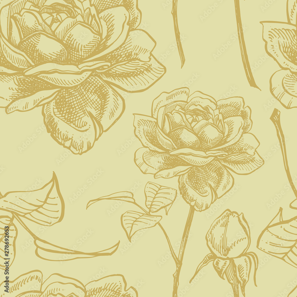 Fototapeta Róże Ręcznie rysowane kwiat zestaw ilustracji. Ilustracja roślin botanicznych. Vintage zestaw ziół leczniczych szkic atrament ręcznie rysowane medycznych ziół i roślin szkic. Bez szwu wzorów.
