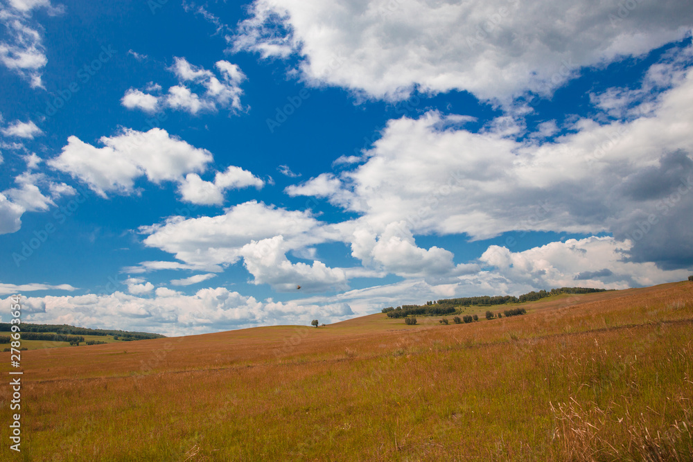 Blue sky with white clouds, trees, fields and meadows with green grass, against the mountains. Composition of nature. Rural summer landscape. Blue sky with white clouds, trees, fields and meadows with green grass, against the mountains. Composition of nature. Rural summer landscape.