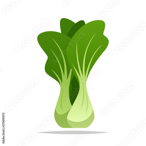Bok choy vegetable vector isolated illustration