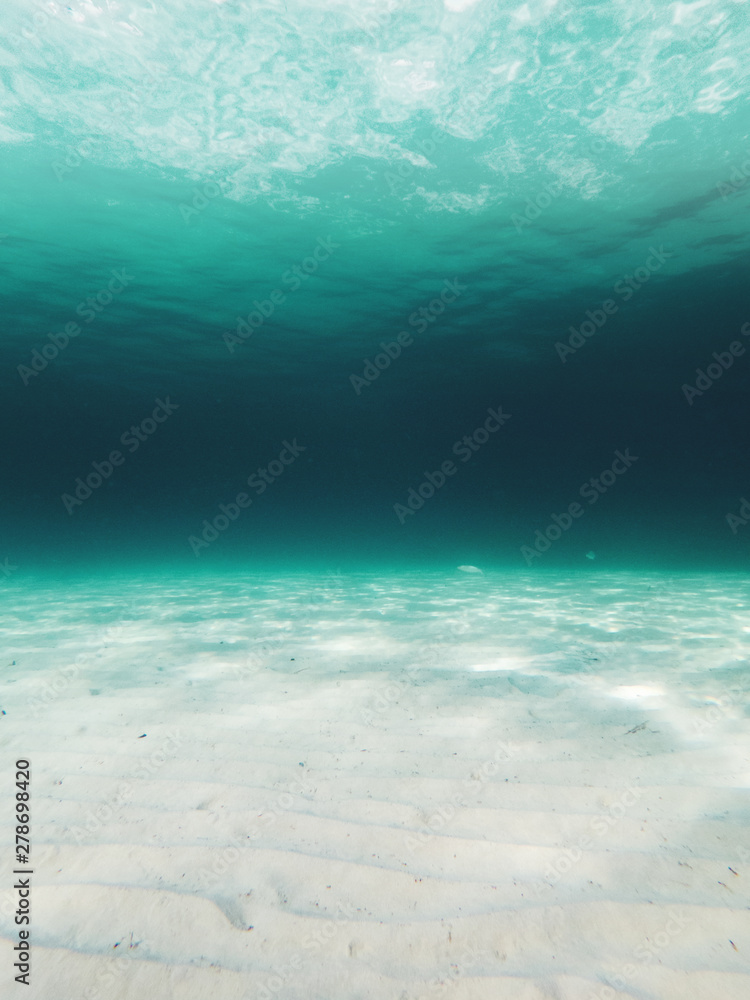 Fototapeta premium Diving in clear beach water on a bright summer vacation day. Cala Portals Vells, Mallorca. Balearic Islands