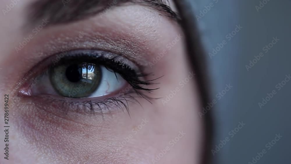 Close up of a beautiful green eye. The girl wears nude, minimal make up. Her lashes are long and black Close up of a beautiful green eye. The girl wears nude, minimal make up. Her lashes are long and black
