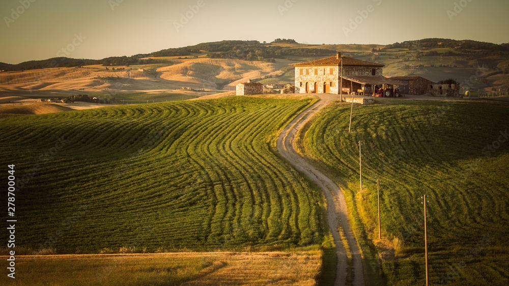 Beautiful rice fields terrace , rolling hills and landscape in tuscany