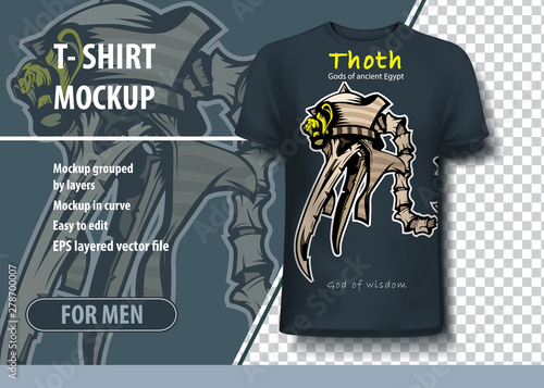 Thoth god of wisdom in ancient Egypt. Layout in vector for printing on t-shirt.