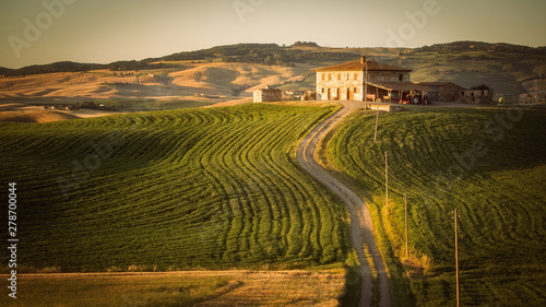 Beautiful rice fields terrace , rolling hills and landscape in tuscany