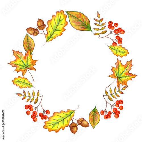 Autumn frame on a white background hand drawing. Frame of autumn yellow leaves  rowan berries. Design for banner  invitation.