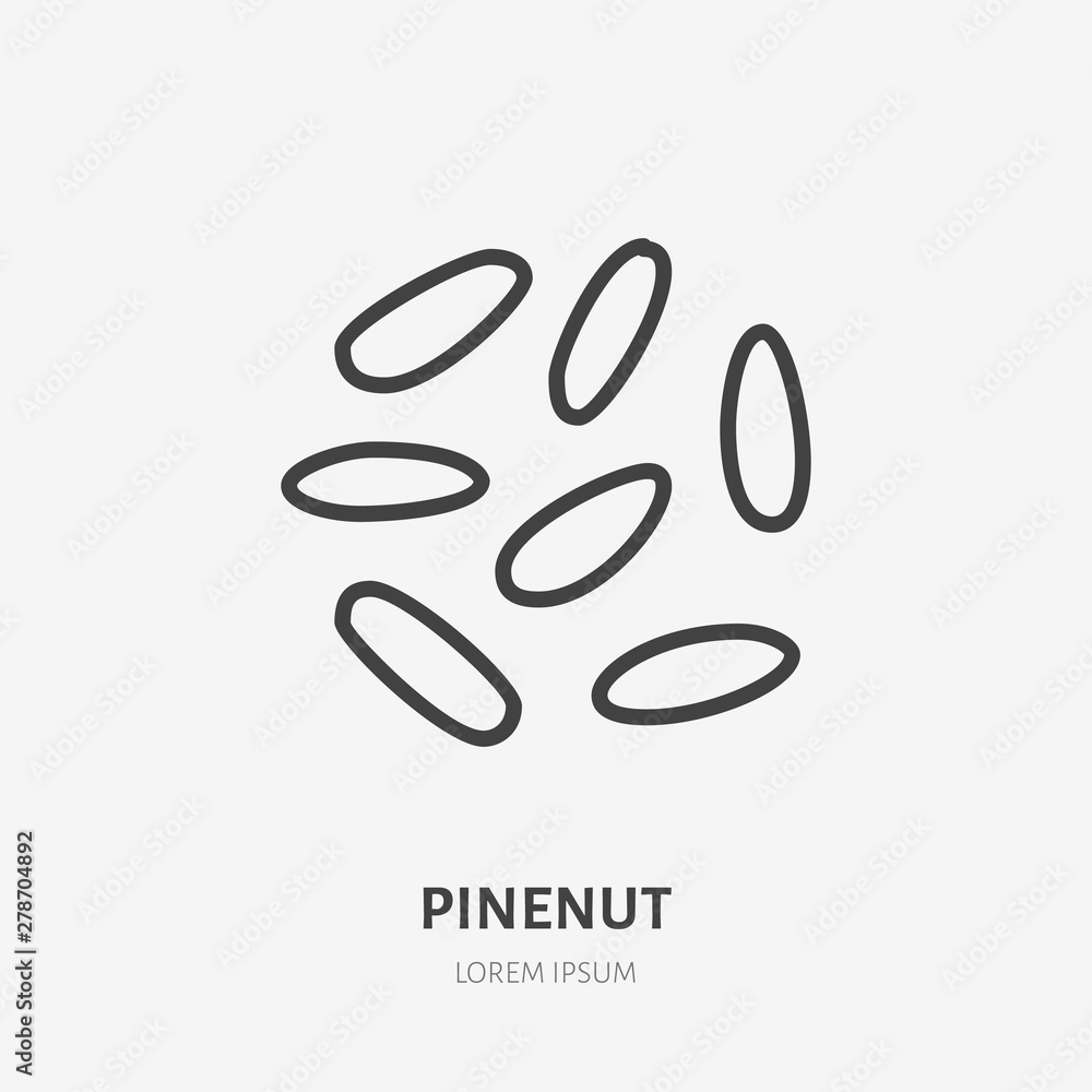 Pinenut flat line icon. Vector thin sign of nut, healthy food outline illustration Pinenut flat line icon. Vector thin sign of nut, healthy food outline illustration