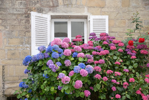 Fenster mit Hortensien in der Bretagne © Fotolyse