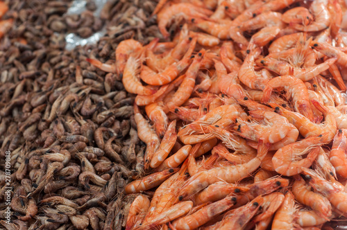 Closeup of fresh shrimps at the market