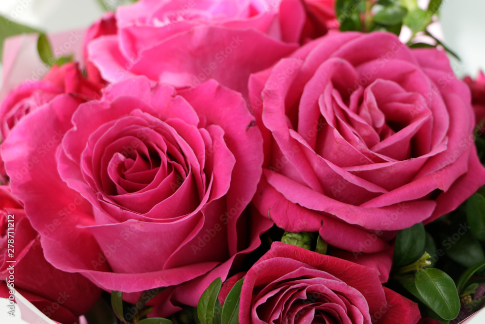 bloom bloom
