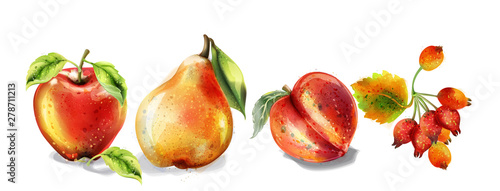 Apple, pear and peach Vector watercolor set. Colorful fruits detailed painted styles