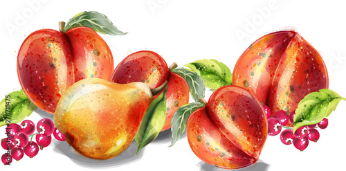 Apple, pear and peach Vector watercolor set. Colorful fruits detailed painted...