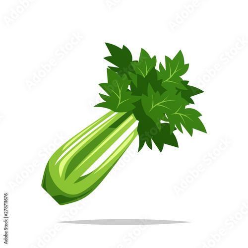 Celery vector isolated illustration