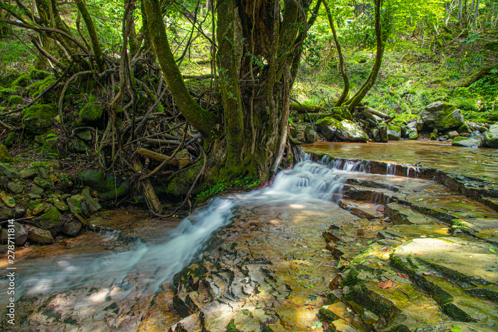 Obraz premium 兵庫県・小代渓谷の自然風景、岩盤上に渓流