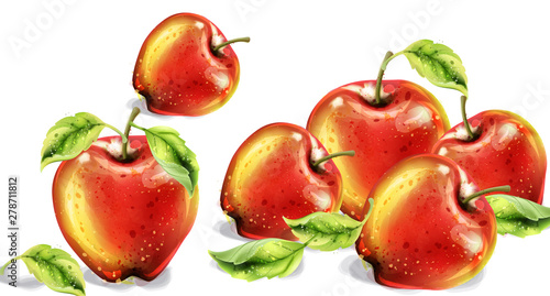 Fototapeta Naklejka Na Ścianę i Meble -  Apples vector watercolor. Colorful fruits background. Autumn harvest illustrations