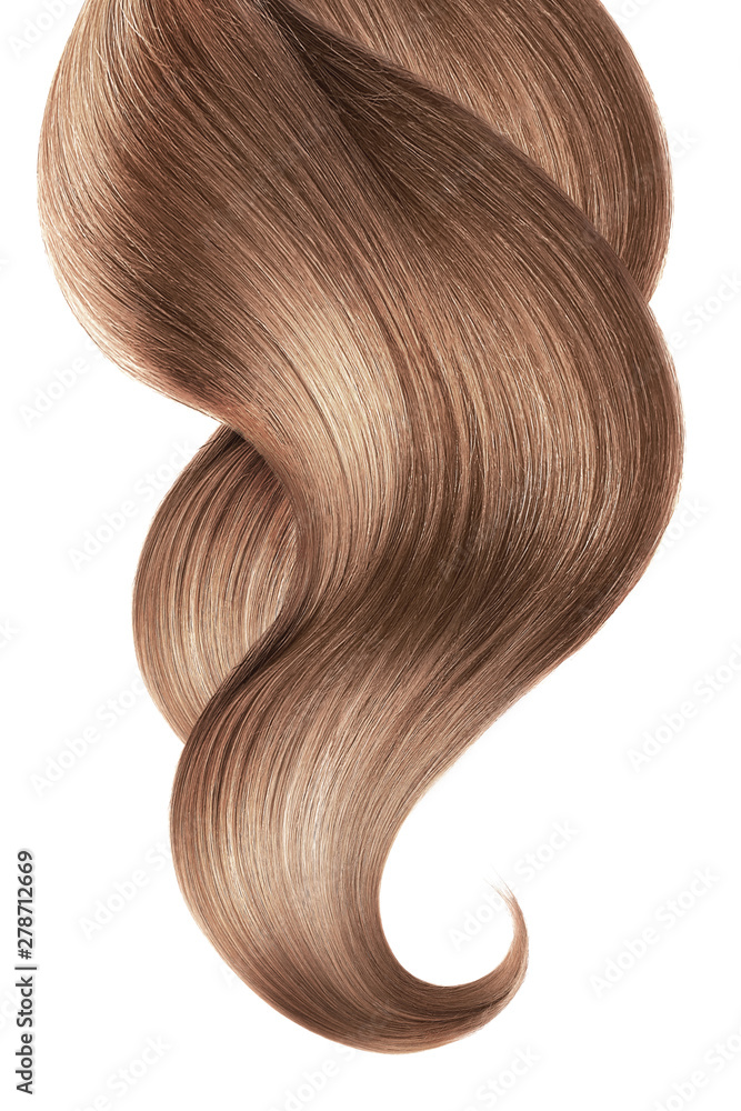 Brown hair isolated on white background. Long ponytail. Brown hair isolated on white background. Long ponytail.