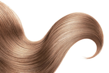 Brown hair isolated on white background. Long ponytail.