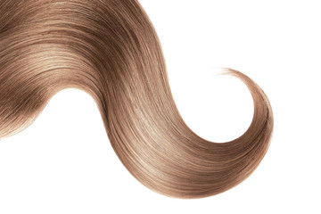 Brown hair isolated on white background. Long ponytail.