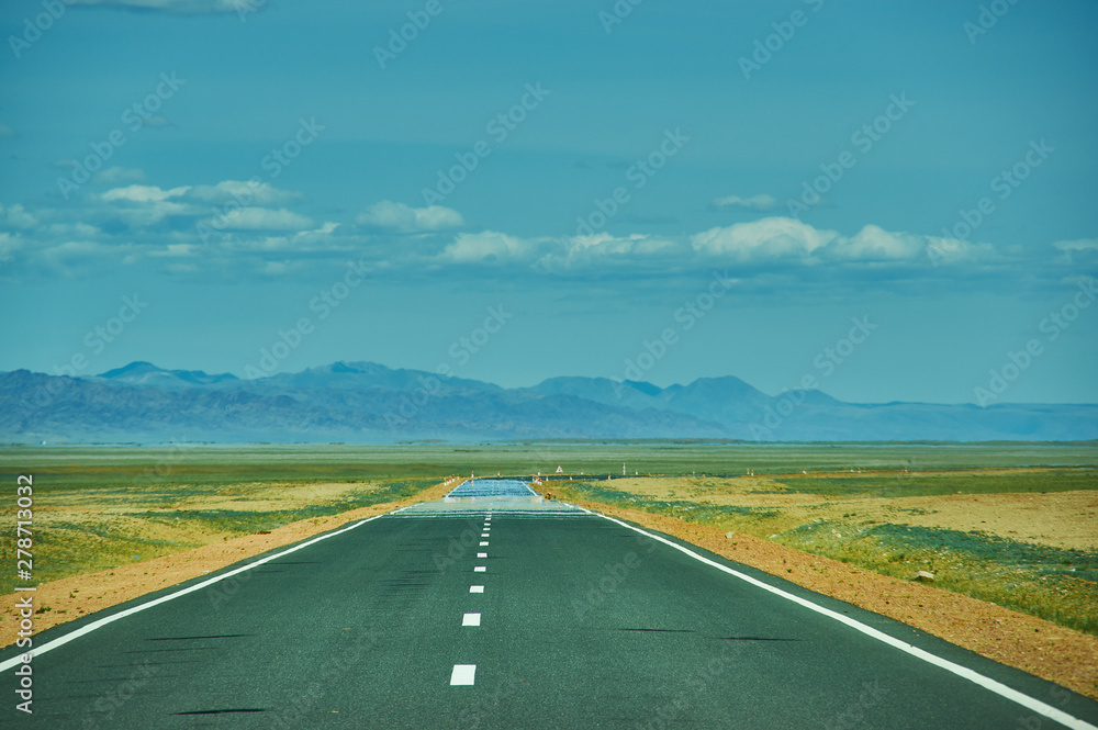 Fototapeta premium Road in Gobi Desert