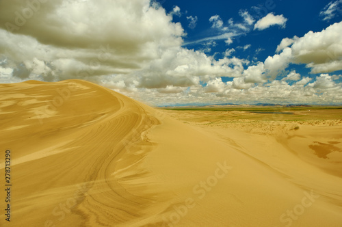 Mongolia. Sands Mongol Els, sandy dune desert,