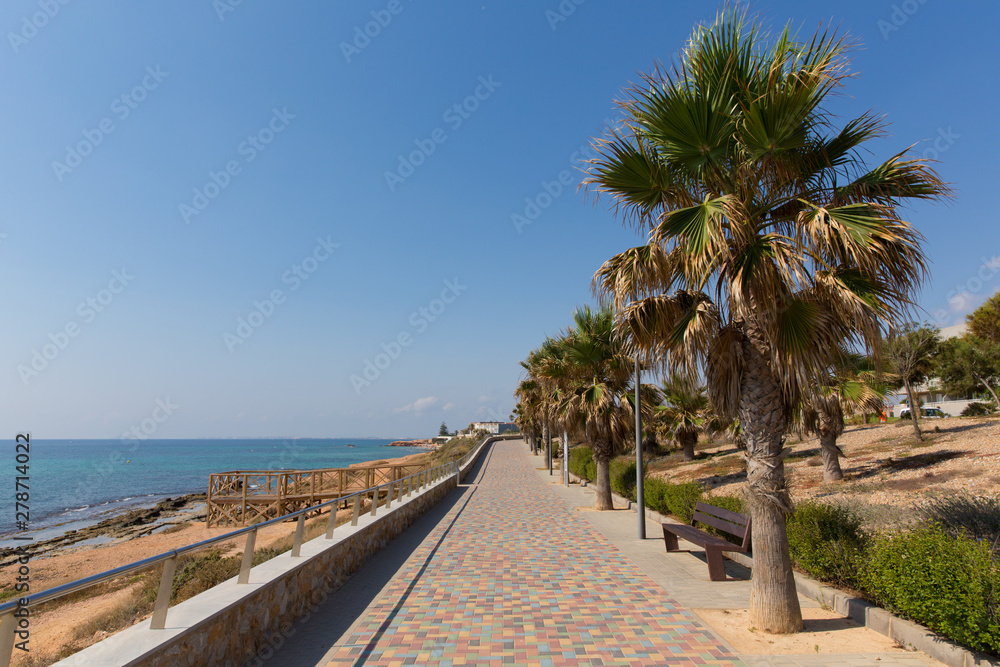 Mil Palmeras Costa Blanca Spain view from the paseo promenade towards Playa Rocamar with palm trees