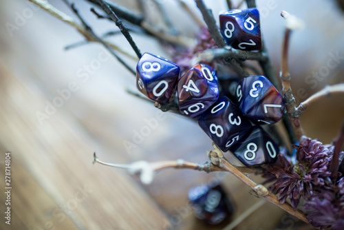 playing dice for role-playing and board games photo