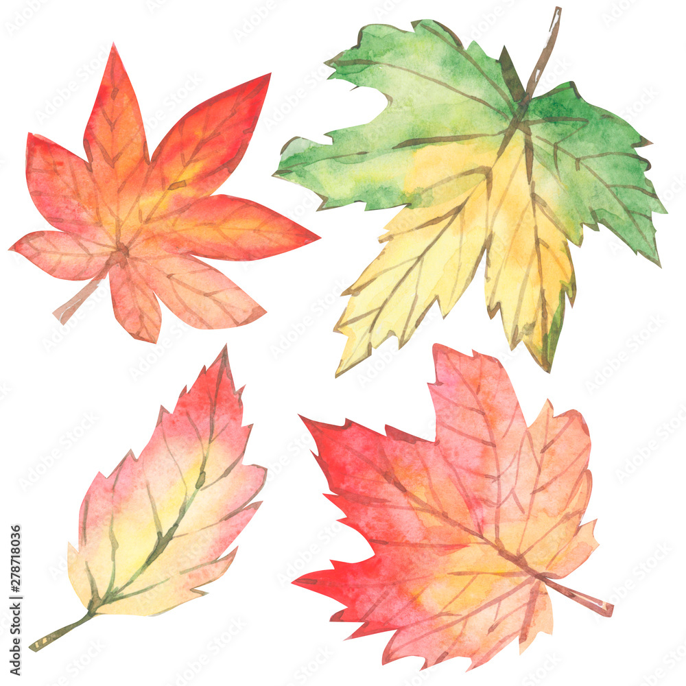 Watercolor botanical autumn leaves. Hand draw floral Design elements. Perfect for invitations, greeting cards, blogs, posters, prints
