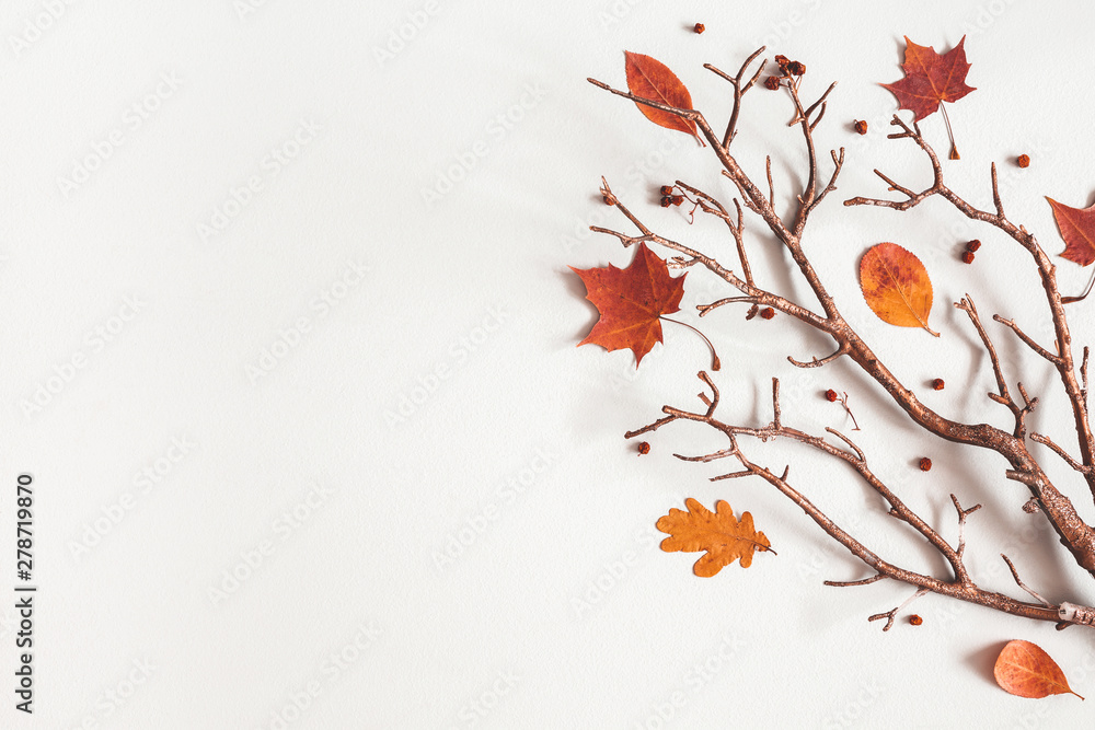 Autumn composition. Maple leaves, branch on gray background. Autumn, fall, thanksgiving day concept. Flat lay, top view, copy space - obrazy, fototapety, plakaty 