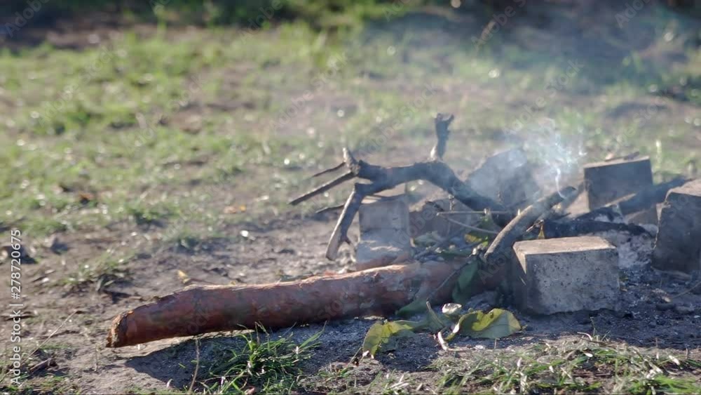 Closeup shot. Smoke from a bonfire near a forest lake. Particles from fire float in the air. Smoke constantly changes direction with a wind. Bright summer day. No person. Europe, Ukraine, Kyiv Closeup shot. Smoke from a bonfire near a forest lake. Particles from fire float in the air. Smoke constantly changes direction with a wind. Bright summer day. No person. Europe, Ukraine, Kyiv