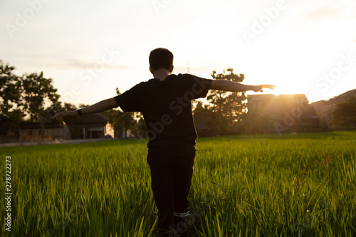 A man walks in a rice field during the summer at sunset in the afternoon
