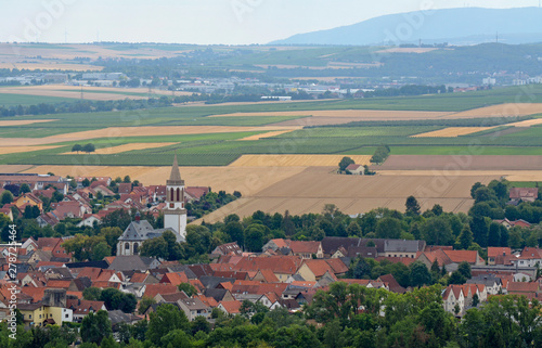 rheinhessische sommerlandschaft bei gau-odernheim