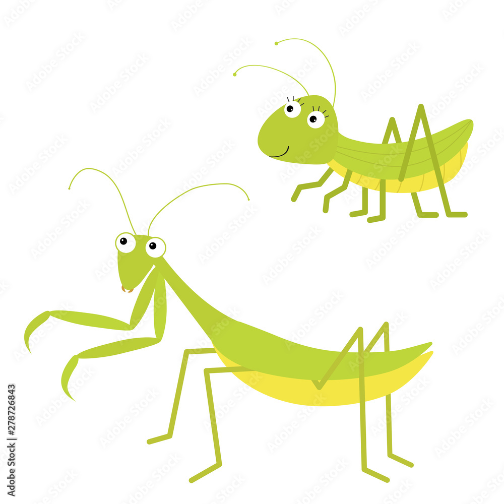 Mantis, grasshopper icon set. Cute cartoon kawaii funny character. Green insect isolated. Praying mantid. Big eyes. Smiling face. Flat design. Baby clip art. White background. Mantis, grasshopper icon set. Cute cartoon kawaii funny character. Green insect isolated. Praying mantid. Big eyes. Smiling face. Flat design. Baby clip art. White background.