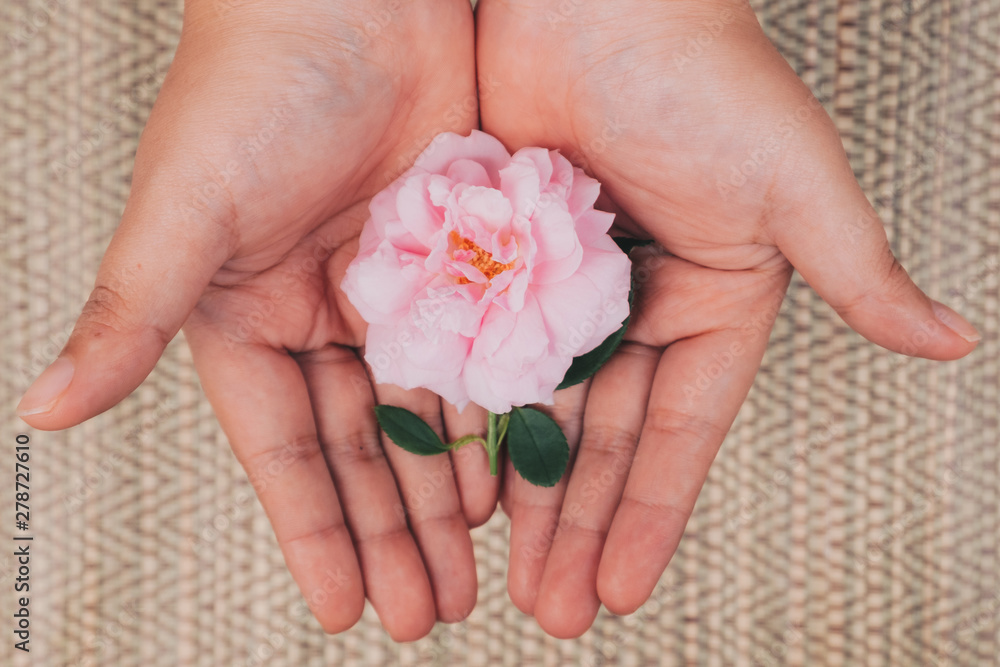 Small bouquet of pink rose in a woman's hand Small bouquet of pink rose in a woman's hand