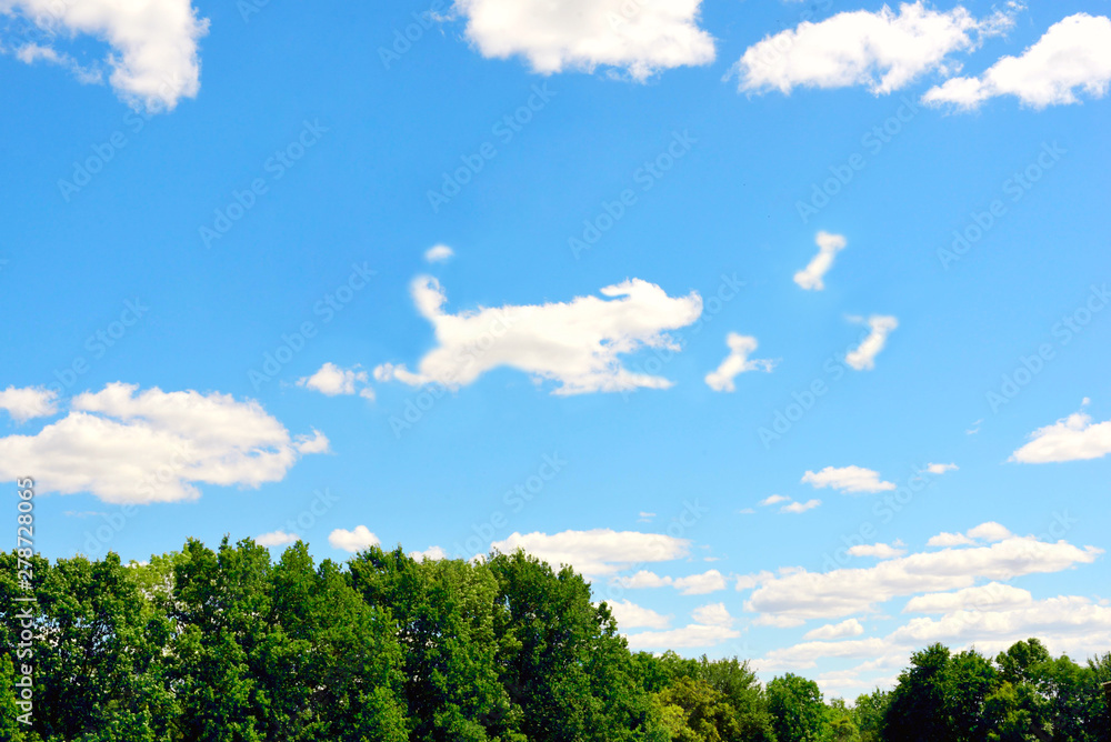 Beautiful panoramic landscape blue sky and clouds in the shape of a running dog behind a bone. Homeless animals day concept.