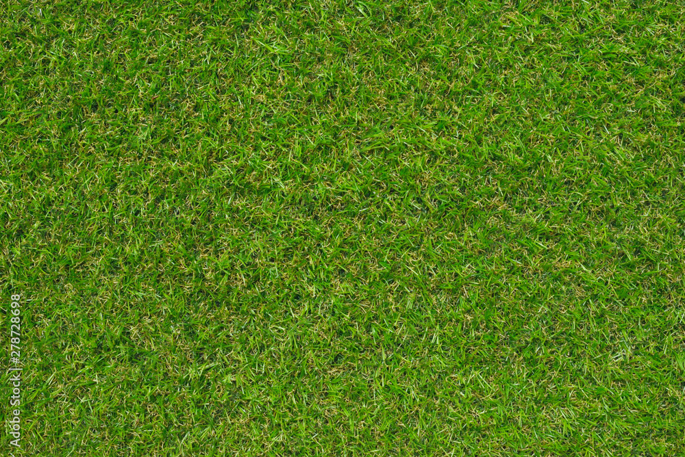 Obraz premium green grass texture.