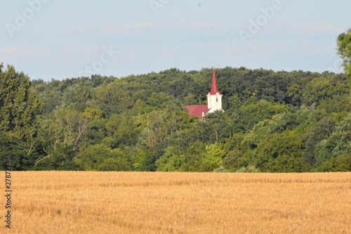 church in the forest