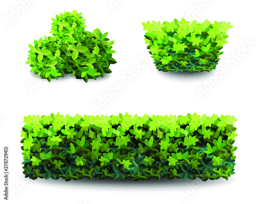  Garden bush. Green garden vegetation bushes icon. Ornamental plant shrub for decorate landscape park, a garden or a green fence. Thick thickets of shrubs. Foliage for spring and summer cards.