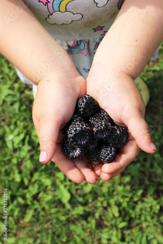 baby`s handful of berries