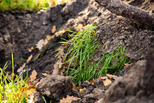 Pile of excavated ground with green grass