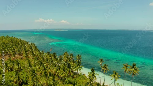 Wallpaper Mural Seascape: Island with palm trees by atoll and coral reef, aerial drone. Island on turquoise atoll. Summer and travel vacation concept. Torontodigital.ca