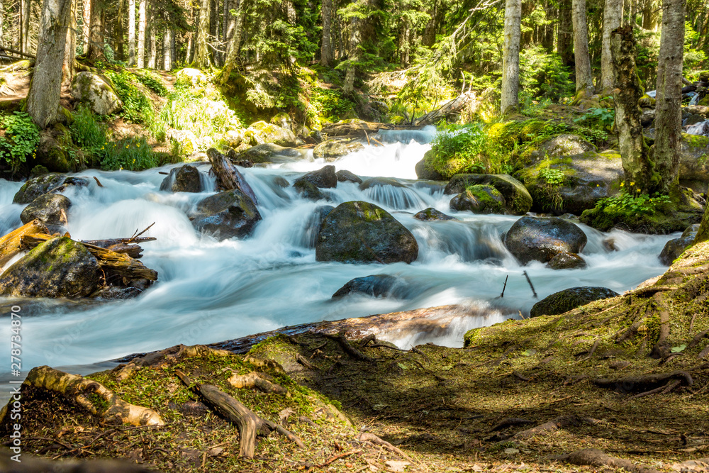 Mountain river water landscape. Wild river in mountains.