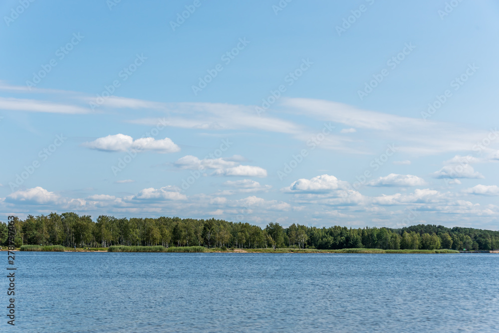 River and Forest in Latvia on a Sunny Summer Day