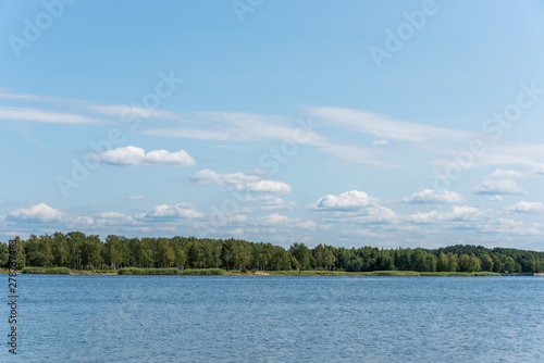 River and Forest in Latvia on a Sunny Summer Day