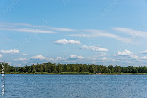 River and Forest in Latvia on a Sunny Summer Day