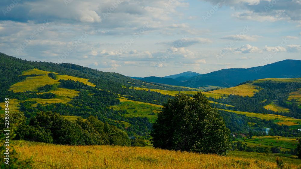 Mountain valley. Natural summer landscape. Horizontal Banner background. Copy Space Background.