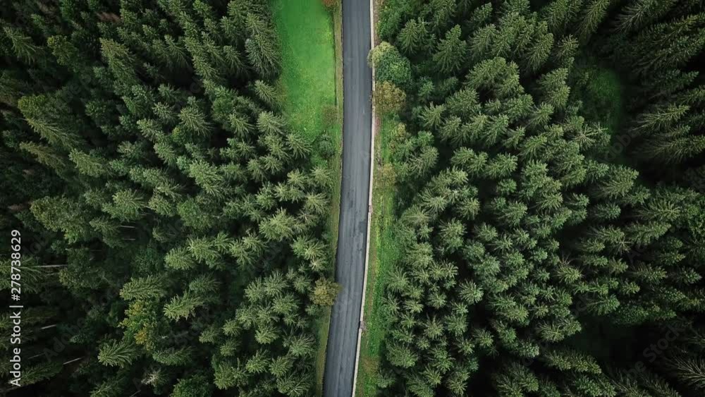 aerial veiw of empty road in green forest. drone shot in 4K. bird's eye