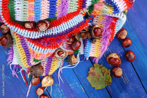 Autumn background. Horse chestnuts on crocheted bright warm striped plaid on blue wooden boards.