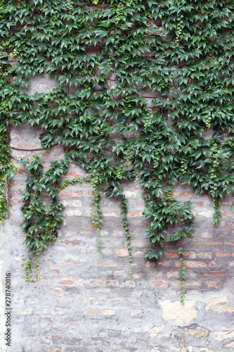 Red brick and gray old grun...