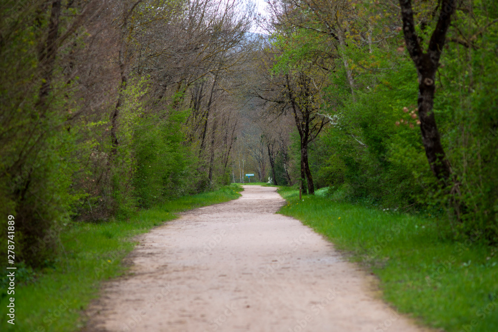 Fototapeta premium France - Castres Tarn - greenway 1