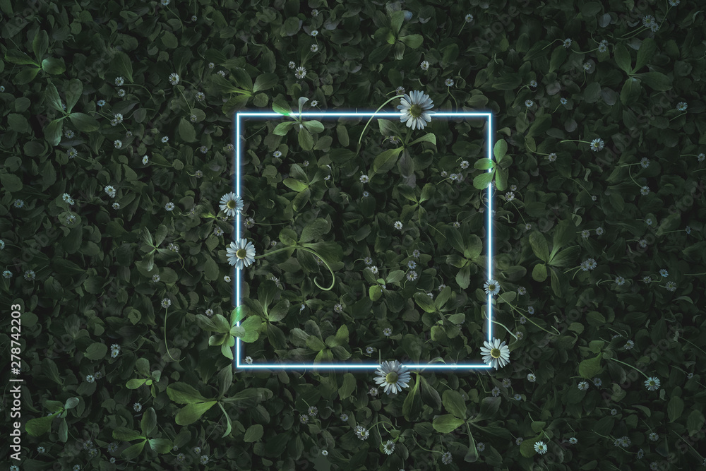 3d rendering of white square neon light with daisy plants and flowers. Flat lay of minimal nature style concept
