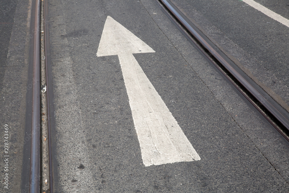 Fototapeta premium Arrow Sign on Road Surface